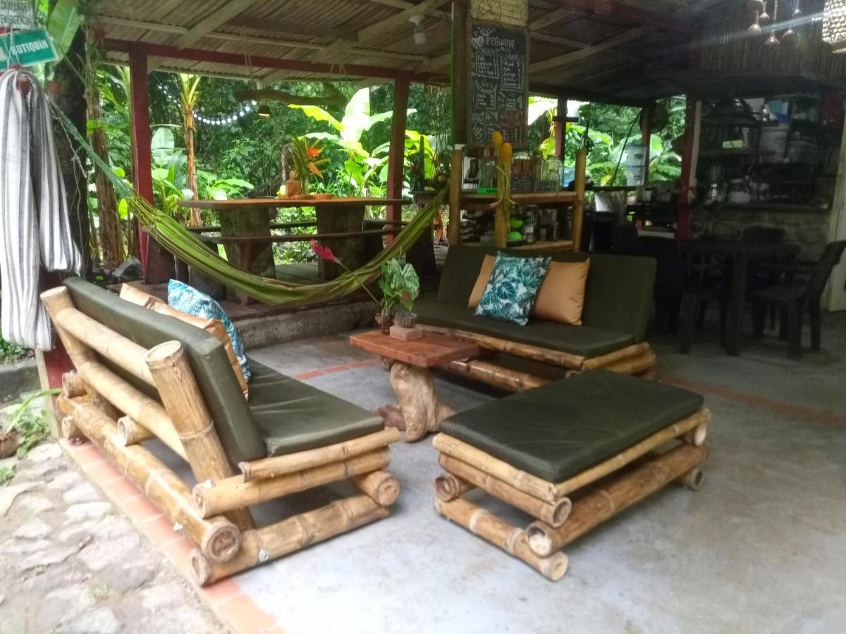 Treegana Auberge de jeunesse *